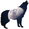 Howling at the Moon