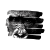 Monkey motif, monkey