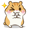 Geschenk Kinder Hamster