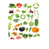 All Kinds Of Vegetables