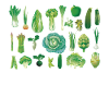 All Kinds Of Green Vegetables