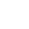 Chinese character calligraphy pig