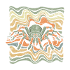 spider