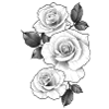 black roses