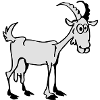 Chèvre
