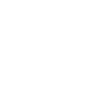 Lotus flower - white