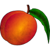 Peach