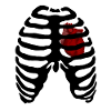 Rib cage Heart