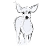 Little deer