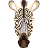 zebra