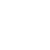 Indian skull