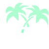 SUNSHINESTATE MIAMI Palmen im Neonstyle