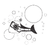 Salmon 4