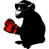 boxer monkey