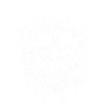 UPTEMPO (white design)