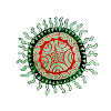 Mandala Flower