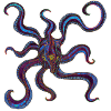 Squid 1