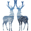 deer blue