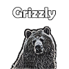grizzly bear