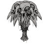 RAVEN SKULLS
