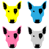 Pit Bull Bull Terrier CMYK