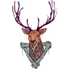 DEER HUNT