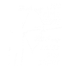Archer archery shirt gift
