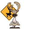 Caribou debout