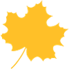 Leaf, autumn may come