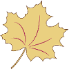 Leaf, autumn may come
