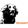 Hovawart portrait with lettering