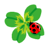 ladybug