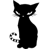Black cat