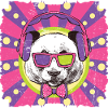 Panda funky