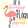 be a flamingo