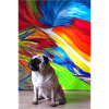 Mops Pug