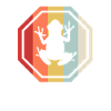 Frog frogs toad