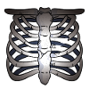 Costume effrayant de squelette d'Halloween