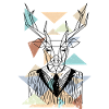 Hirsch polygon geometry