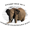 WorldElephantDay - Africa - Safari - Elephant