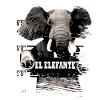 Elephant mammal elephant gift