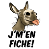 Ane "j'm'en fiche!"( texte noir)