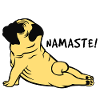 Namaste - Pug - Pug