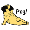 Pug Pug Gift