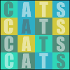Cats Cats Cats Cats