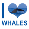 J'aime les baleines