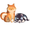 Shiba and Husky