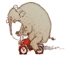 ÉLÉPHANT DRUNK