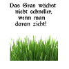 Pull grass