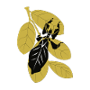 Wandering leaf silhouette on foliage
